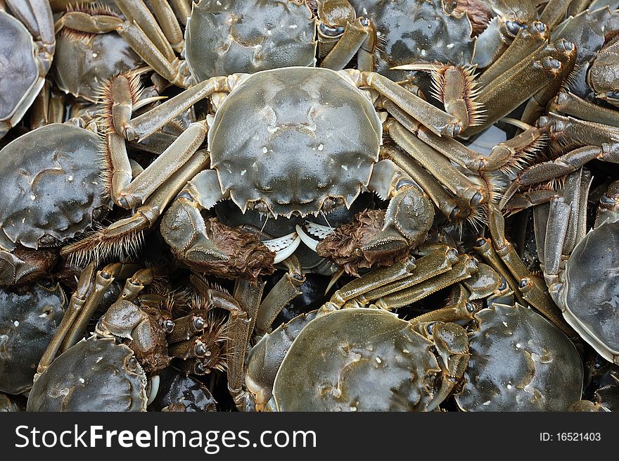 Put together a lot of crabs