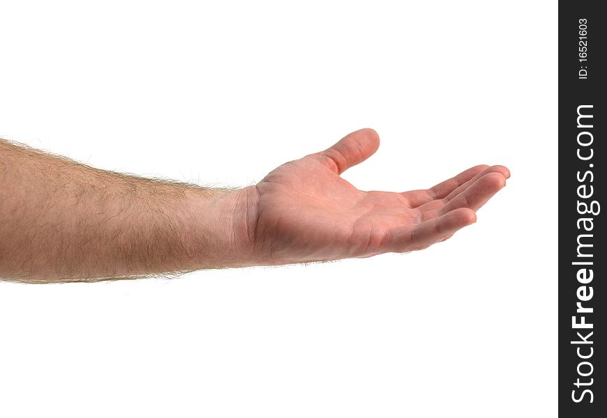 Hand