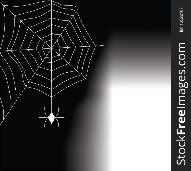The spider goes down on a web in a dark premise and bright light makes the way from an open door