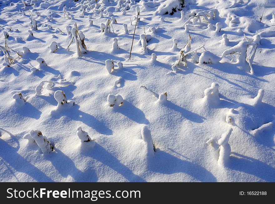 Cold winter, snow covered the land