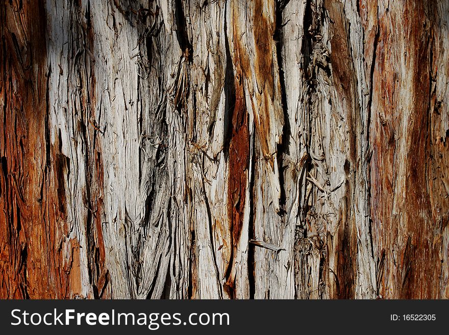 Detail of brown coniferous bark - natural texture. Detail of brown coniferous bark - natural texture