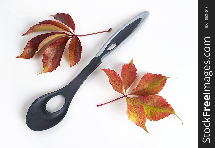 The photo shows a plastic spoon with autumn leaves over white