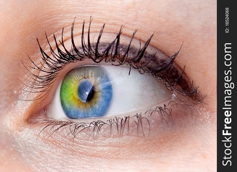 Colourful human eye of the woman. Colourful human eye of the woman
