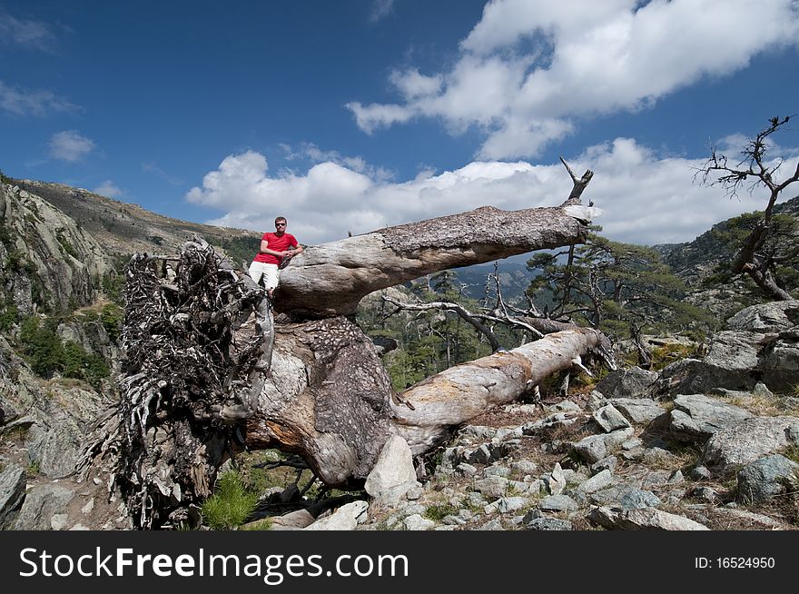 Person hiking the famous path GR20 at Corsica. Person hiking the famous path GR20 at Corsica.