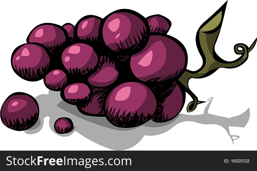 An hand-made black grapes illustration.