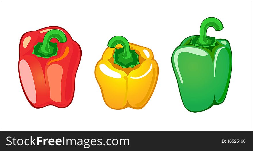 Three paprica in different color vector illustration