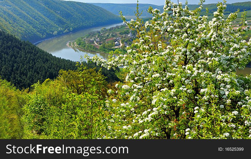 Landscape of the mountain river in a spring sunny day.