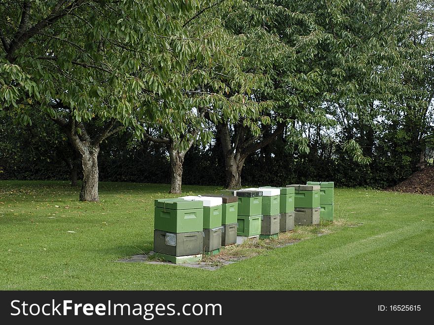 Danish bee-houses on green grass in garden close to trees. Danish bee-houses on green grass in garden close to trees.