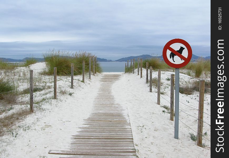 No dogs are allowed sign in front of the beach. No dogs are allowed sign in front of the beach.