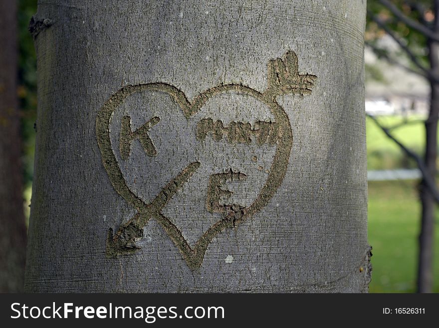 Heart shape with letters cut in tree bark outdoors in a Danish forest. Heart shape with letters cut in tree bark outdoors in a Danish forest.