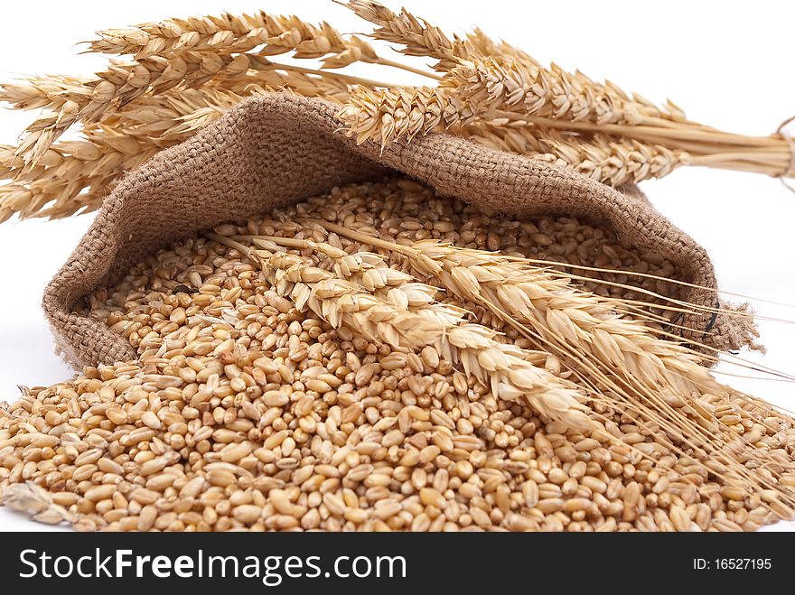 The Scattered Bag With Wheat