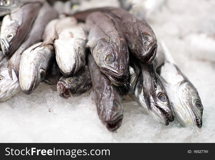 A heap of fresh fish in ice. A heap of fresh fish in ice