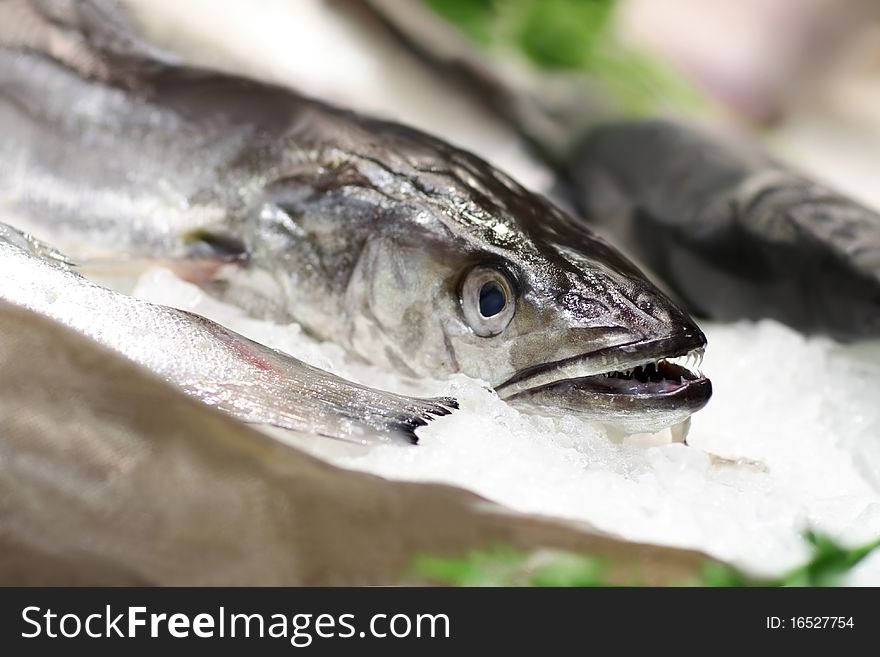 Fresh fish in ice at the market