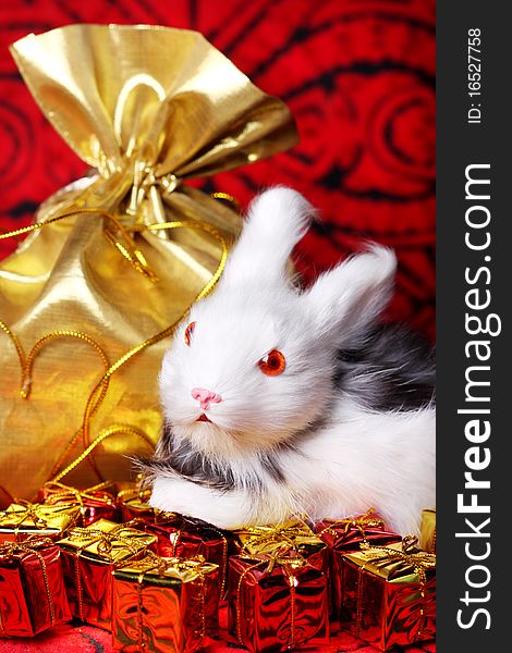 Christmas gifts with toy rabbit