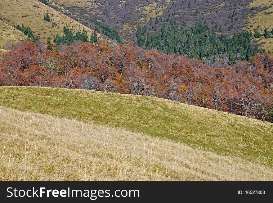 Autumn hillsides in a landscape with beechen wood. Autumn hillsides in a landscape with beechen wood