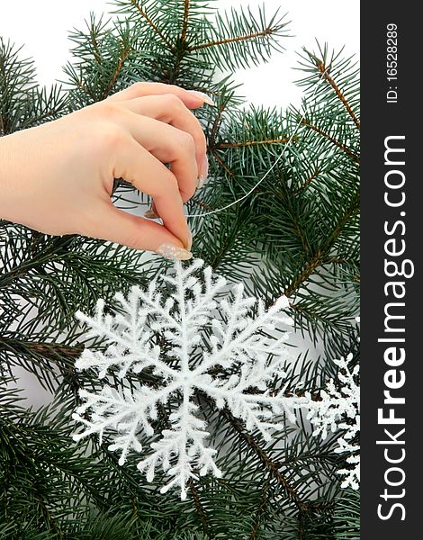 Female hand holding a snowflake on natural christmas tree. Female hand holding a snowflake on natural christmas tree