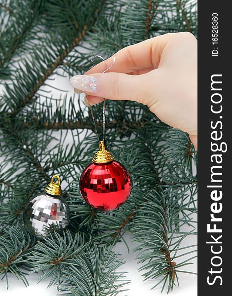 Female hand holding a Christmas ball on natural christmas tree. Female hand holding a Christmas ball on natural christmas tree