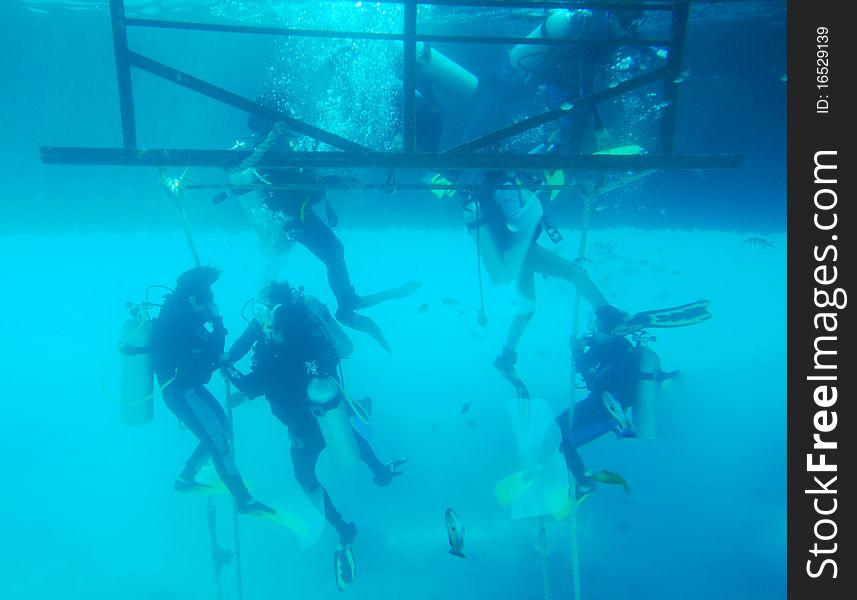 A group of scuba divers descend into the indian ocean. A group of scuba divers descend into the indian ocean