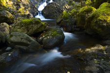 Small Waterfalls And Rain Forest Stock Photo Small Waterfalls And Rain Forest Stock Photo
