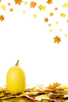 Pumpkins With Fall Leaves Stock Images Pumpkins With Fall Leaves Stock Images