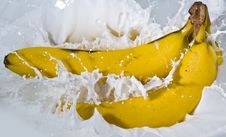 Banana Stock Photo Banana Stock Photo