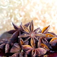 Star Anise Stock Image Star Anise Stock Image