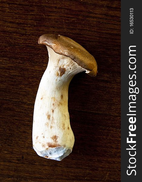 A fresh organic Eryngii mushroom on dark background