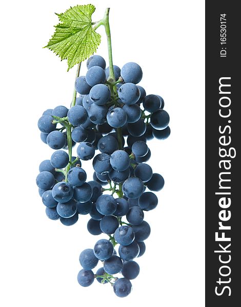 Blue grape with green leaf isolated