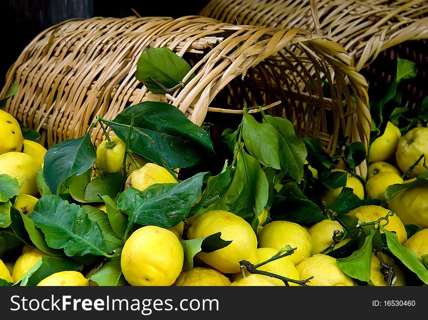Overturned Basket, Lemons, Full Frame