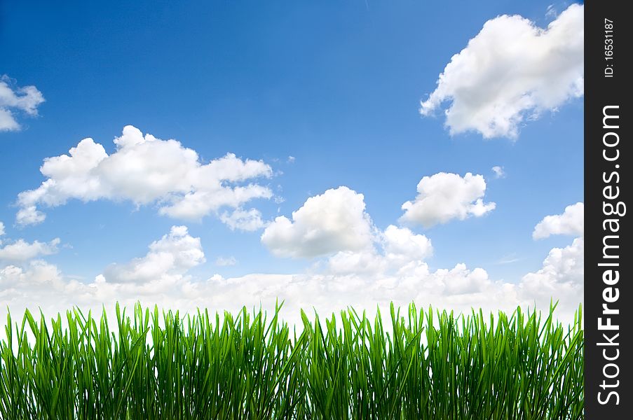 Green grass against cloudy sky