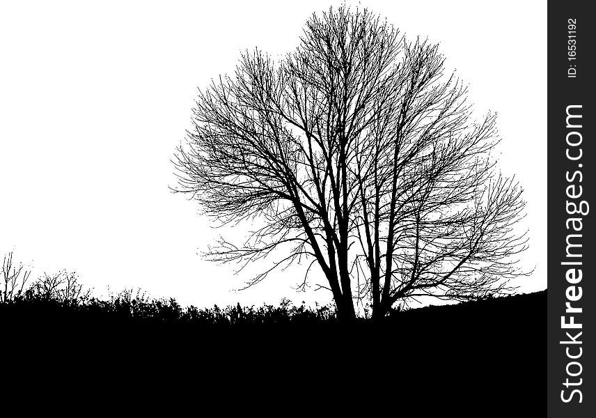 A fantastic high resolution graphic tree and landscape. Great used as a overlay texture or landscape element. A fantastic high resolution graphic tree and landscape. Great used as a overlay texture or landscape element.