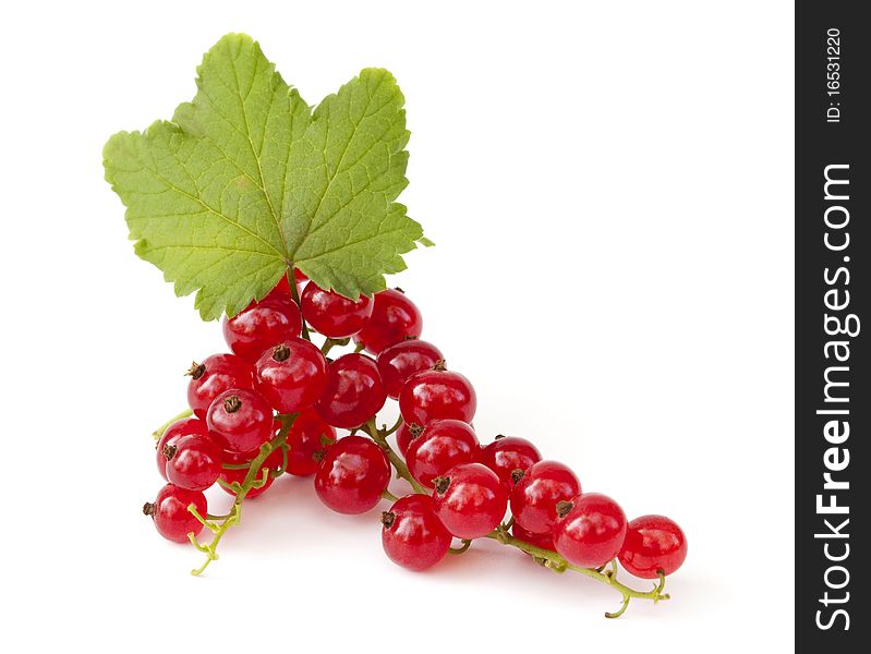 Two branches of ripe red currant with leaves on white background. Two branches of ripe red currant with leaves on white background