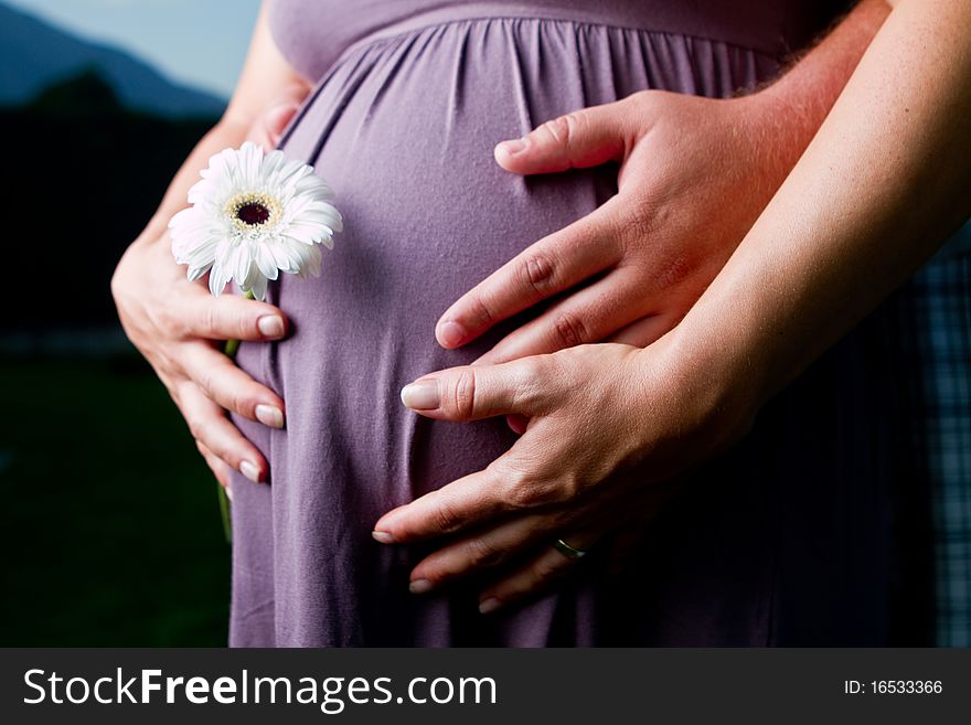 Belly of a pregnant woman with a flower in her hand and the hand of her husband. Blue sky in the background. Belly of a pregnant woman with a flower in her hand and the hand of her husband. Blue sky in the background.