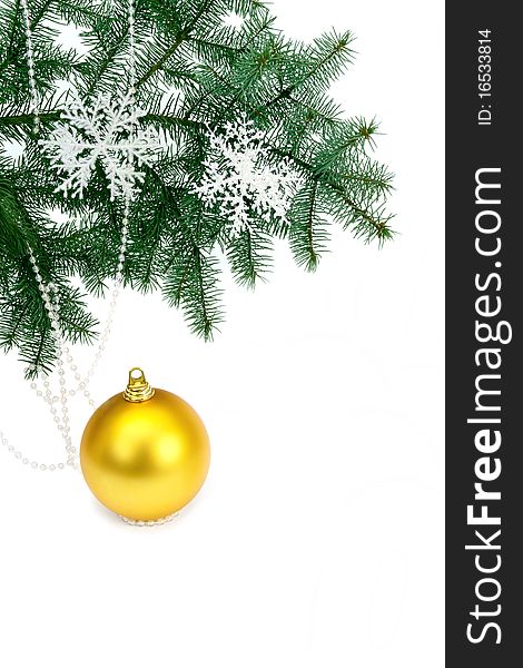 Christmas decoration on the tree. Isolated on white background