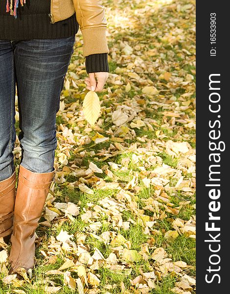 Human body parts girls in her hand a yellow leaf. On the street in autumn. Human body parts girls in her hand a yellow leaf. On the street in autumn