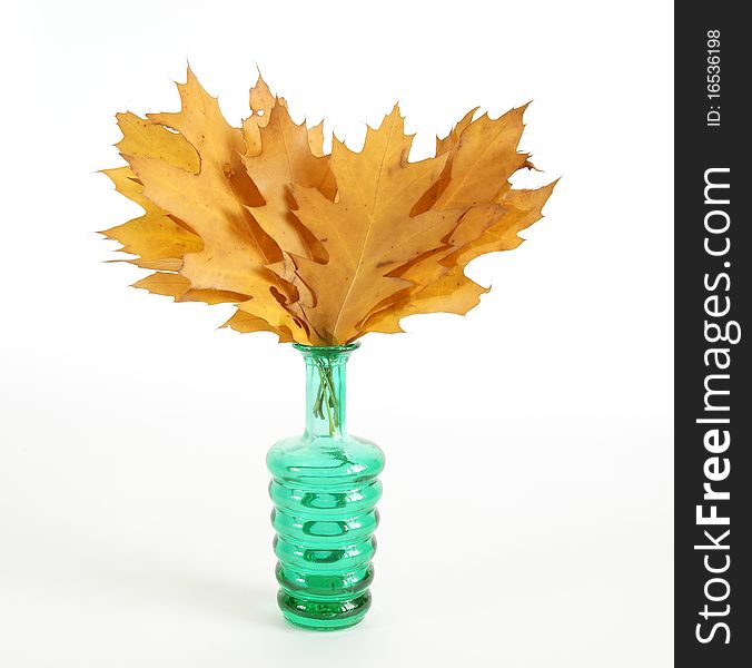 Autumn bouquet of oak leaves in a vase with colored glass on a white background