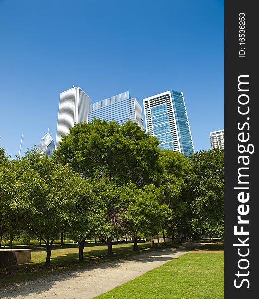 Chicago skyscrapers form Butler Field Park. Chicago skyscrapers form Butler Field Park