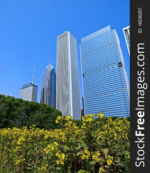 Chicago skyscrapers from the Butler Field park. Chicago skyscrapers from the Butler Field park