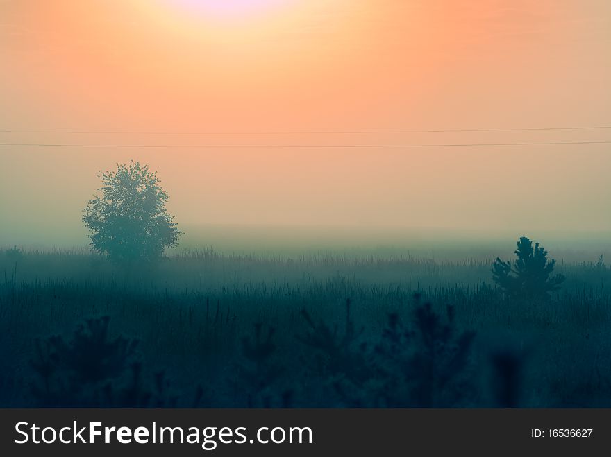 Early morning sunrise with mist