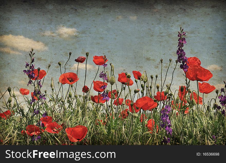 Vintage background with poppy flowers