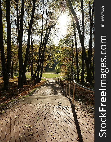 Pedestrian road in the autumn forest. Pedestrian road in the autumn forest
