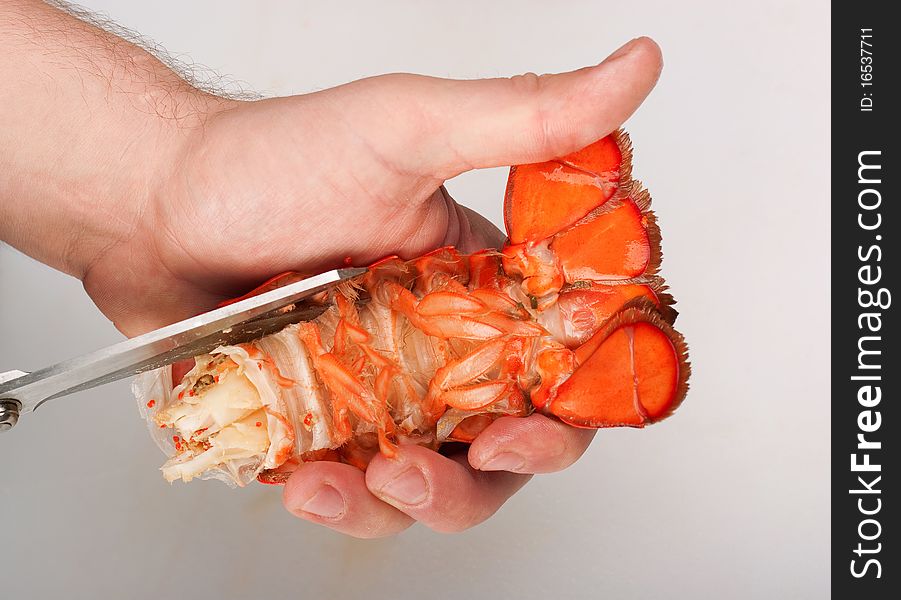 Lobster, Cutting Of Tail