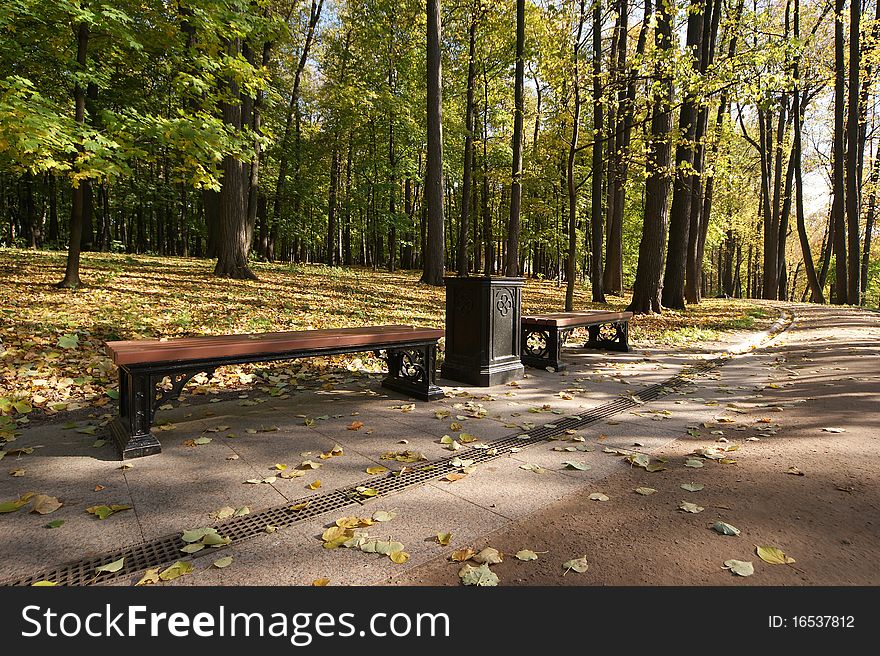 Pedestrian road in the autumn forest. Pedestrian road in the autumn forest