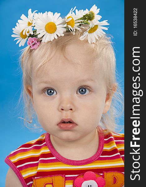 Small lovely girl on a blue background.