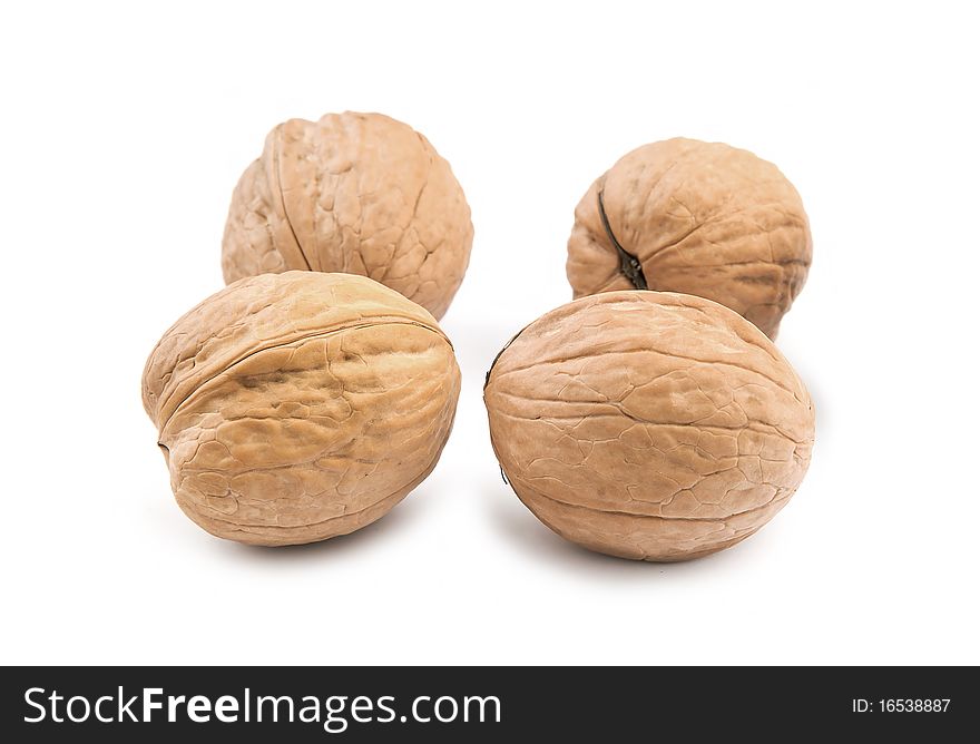 Circassian walnut isolated on the white background