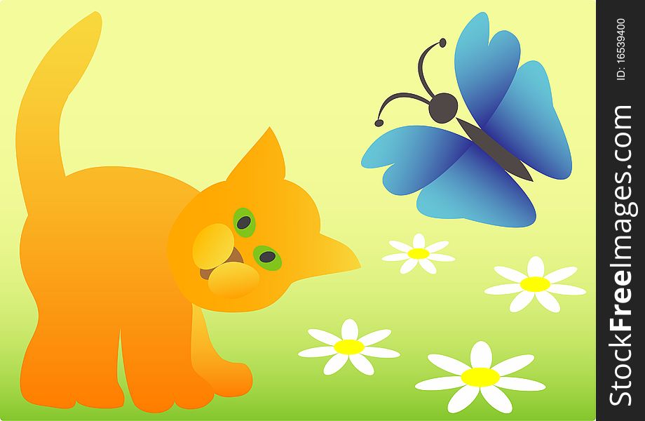 A Cat And A Butterfly