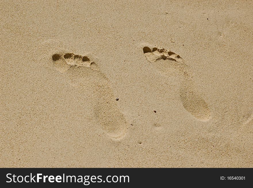 Traces of feet of a loving couple on sea sand