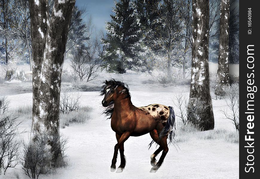 Horse In Winter