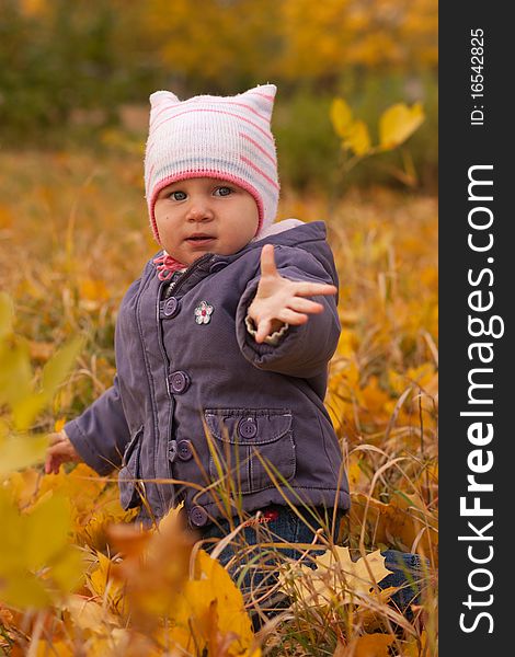 Cute baby girl in autumn leaves. Cute baby girl in autumn leaves