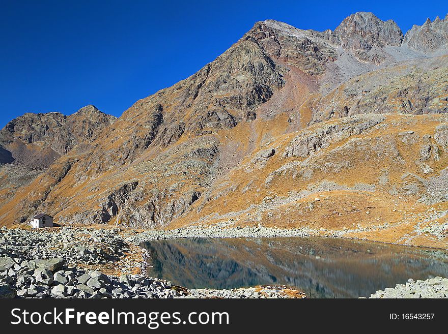 Tonolini mountain dew at 2540 meters on the sea-level, near the Circle lake, Brixia province, Lombardy region, Italy